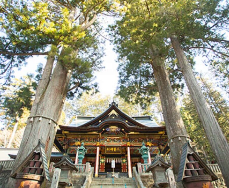 Tokyo: Nagatoro, Mitsumine Shrine & Waterfalls One-Day Tour - Who Should Consider This Tour?