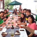 Tokyo: New Views of Mt. Fuji Cherry Blossoms & Tea Picking - Practical Considerations for Travelers