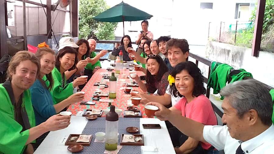 Tokyo: New Views of Mt. Fuji Cherry Blossoms & Tea Picking - Practical Considerations for Travelers