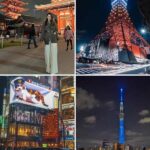 Tokyo Night Private Tour With English Speaking Driver - Why You Should Consider This Tour