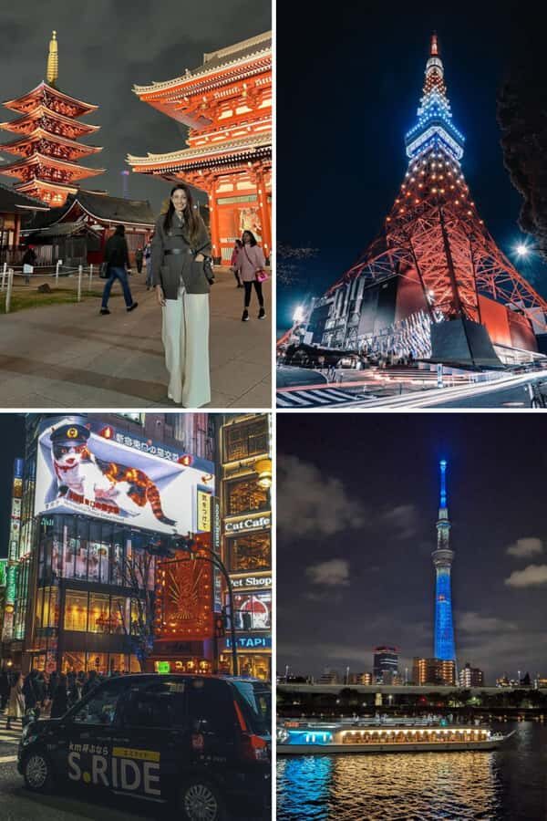 Tokyo Night Private Tour With English Speaking Driver - Why You Should Consider This Tour