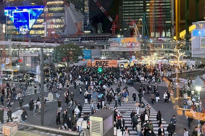 Tokyo Night Walking Tour at Shibuya and Shinjuku Hidden Alleys - Navigating the Itinerary: What to Expect