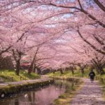 Tokyo: Nikko and Snow Monkey Park 2-Day Private Lexus Tour - Overnight Stay Near Nikko or Nagano