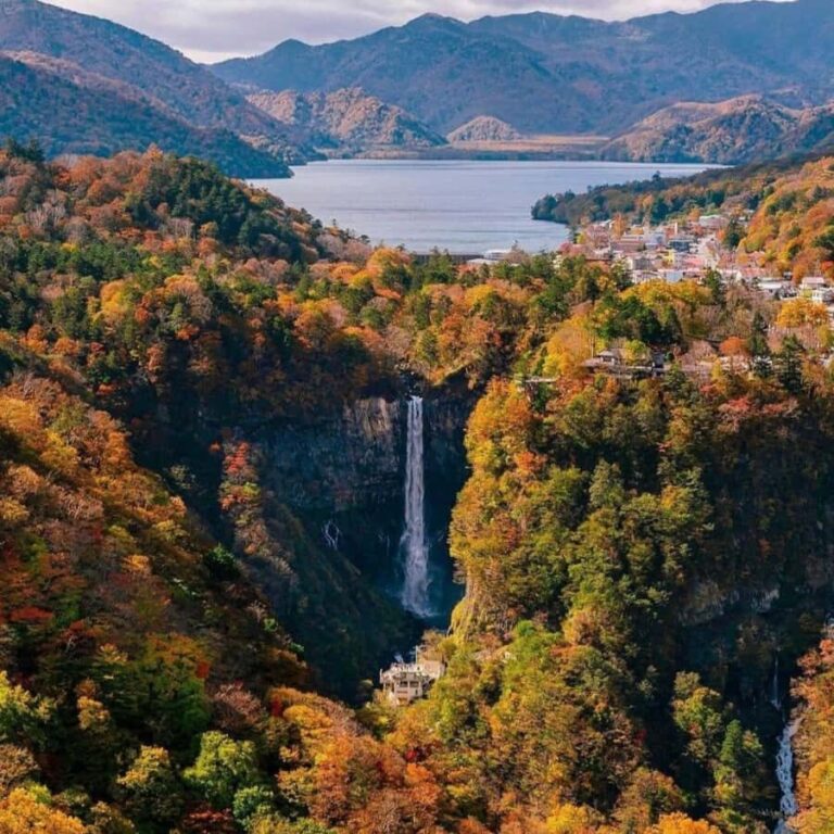 Tokyo: Nikko Beautiful Full Day Personal And Private Tour - Who Should Consider This Tour?