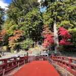 Tokyo: Nikko One Day Private & Customizable Tour - An In-Depth Look at the Nikko Day Tour Experience