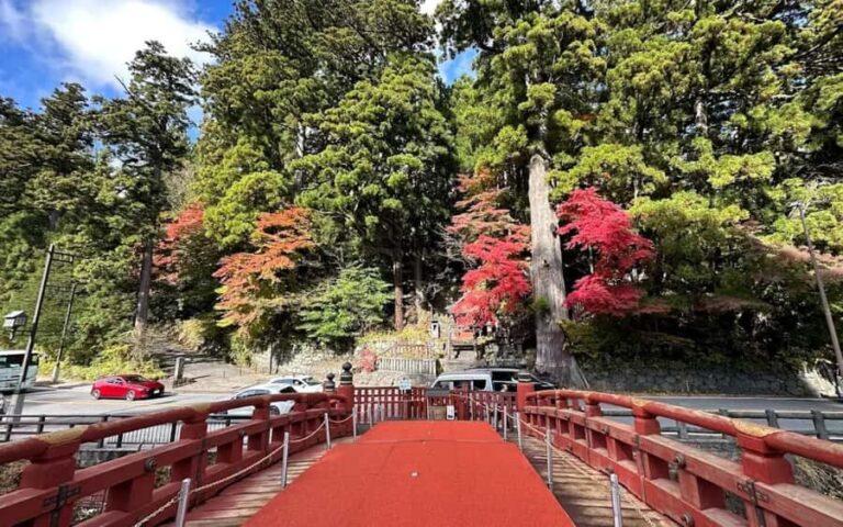 Tokyo: Nikko One Day Private & Customizable Tour - An In-Depth Look at the Nikko Day Tour Experience