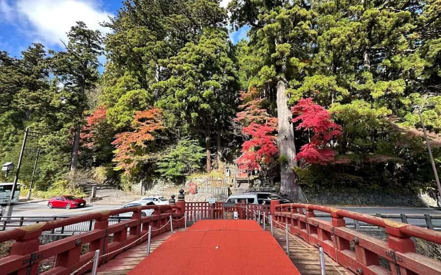 Tokyo: Nikko One Day Private & Customizable Tour - An In-Depth Look at the Nikko Day Tour Experience