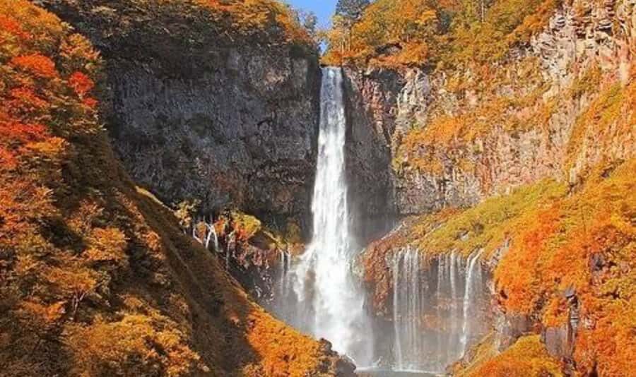 Tokyo: Nikko Private Customized Tour English Driver & Guide - The Overall Experience