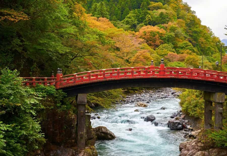 Tokyo: Nikko Private Customized Tour With Hotel Pick-up - The Sum Up