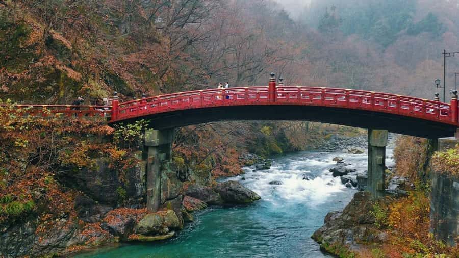 Tokyo: Nikko Private Day Trip with Temples and Nature - Transportation, Timing, and Cost: What You Need to Know