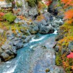 Tokyo: Okutama Day Trip with Hatonosu Gorge - Practical Details and Considerations