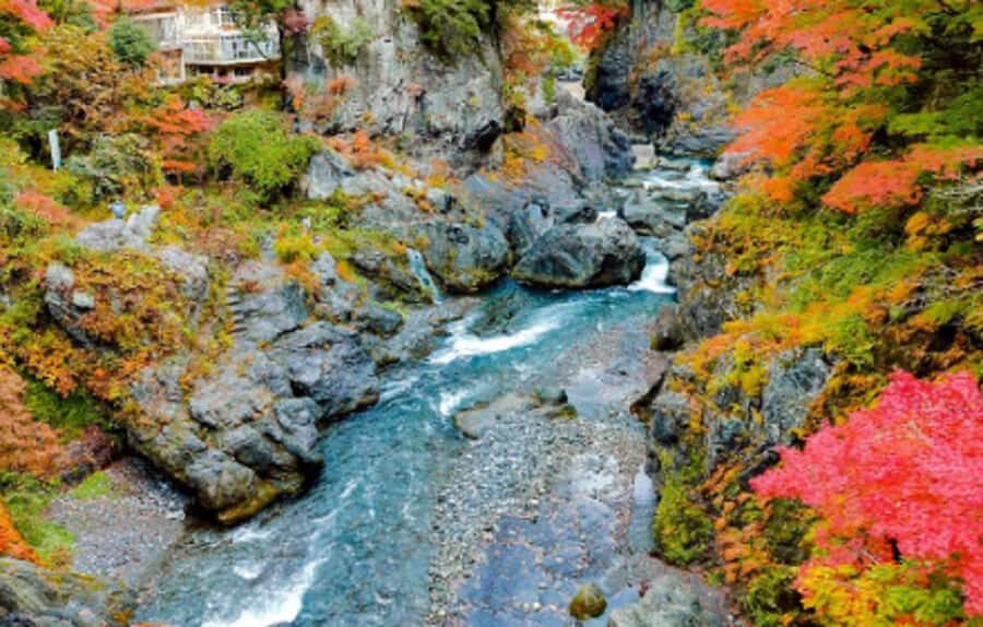 Tokyo: Okutama Day Trip with Hatonosu Gorge - Practical Details and Considerations