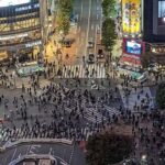 Tokyo Orientation One Day Tour: Taylor Made to Your Needs: - A Deep Dive into the Tokyo Orientation Experience