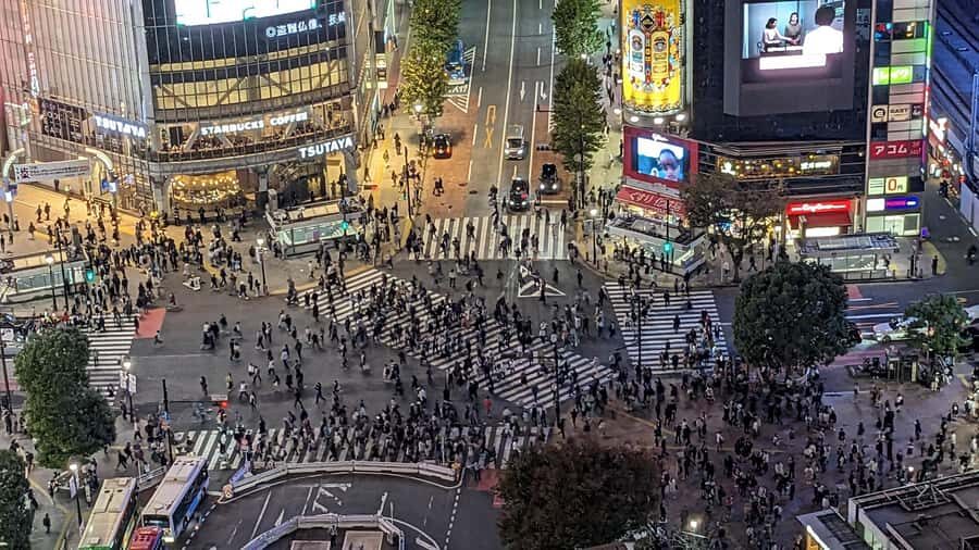 Tokyo Orientation One Day Tour: Taylor Made to Your Needs: - A Deep Dive into the Tokyo Orientation Experience