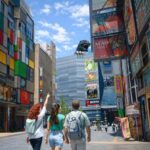 Tokyo: Private 6-Hour Tour of Shinjuku and Shibuya with a Local Guide - Practical Details and Value