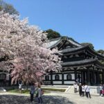 Tokyo Private Car Tour: Kamakura, Enoshima & Yokohama Highlights - Kamakura’s Highlights