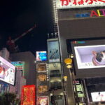 Tokyo Private City Tour - Considerations Before Booking