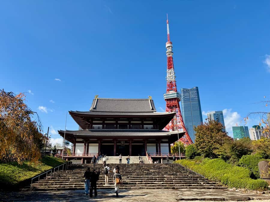 Tokyo: Private Customizable Tour by Car with Local Guide - Detailed Breakdown of the Itinerary