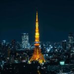 Tokyo Private Day Tour By English Speaking Driver Customised - Deep Dive into the Sights