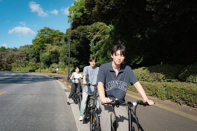 Tokyo: Private Electric Bike Tour of City Highlights - What to Expect from the Itinerary