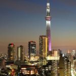 Tokyo: Private Full day customized Tour with English Driver - What to Expect During the Day