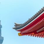 Tokyo Private Guided City Highlight Tour with Local Insights - What You Can Expect from the Experience