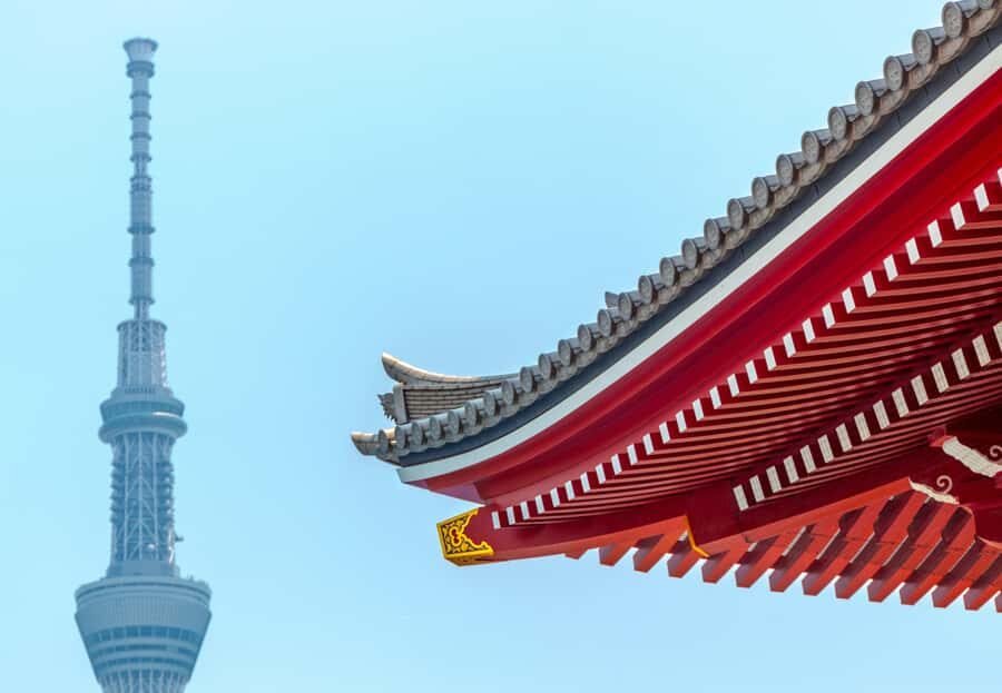 Tokyo Private Guided City Highlight Tour with Local Insights - What You Can Expect from the Experience