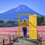 Tokyo: Private Mt. Fuji and Shibazakura Spring Tour - What Sets This Tour Apart?