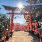 Tokyo: Private Mt.Fuji Day Trip with English-Speaking Driver - The Itinerary in Detail: What to Expect