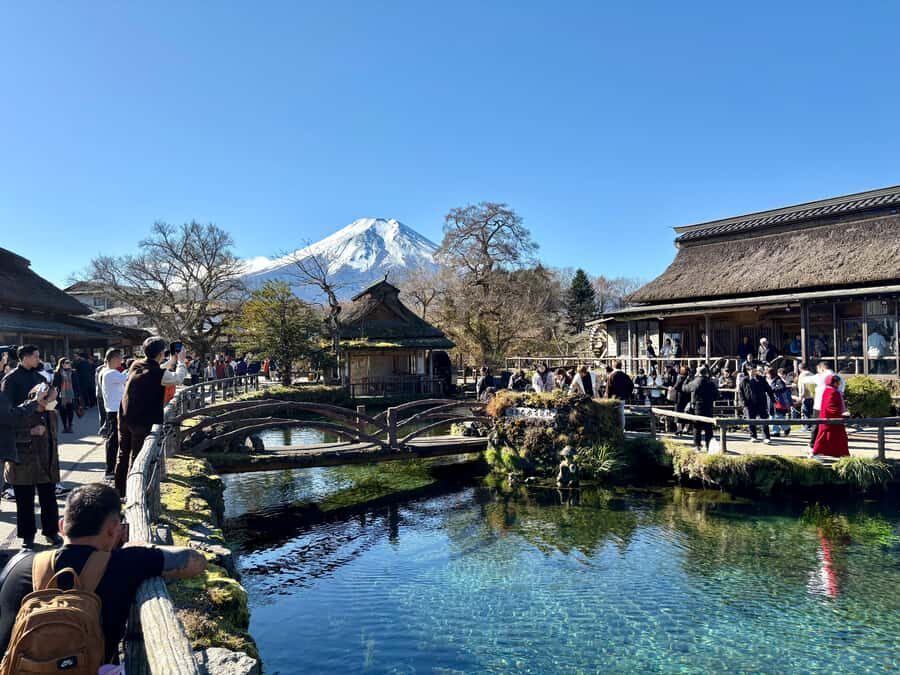 Tokyo: Private Mt. Fuji & Hakone Day Tour by Luxury Car - A Detailed Look at the Tour Experience