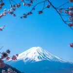 Tokyo: Private Mt. Fuji & Hakone Tour with English Driver - The Itinerary: A Deep Dive into Your Day