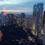 Tokyo Private One-Day Tour  Local Driver - Deep Dive into the Experience