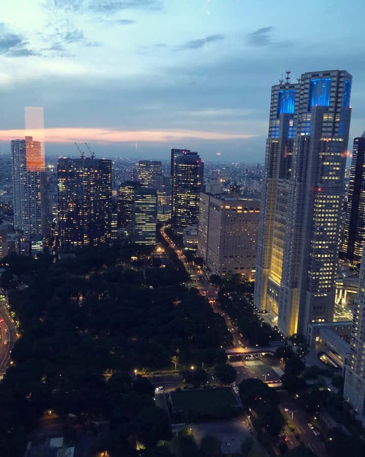 Tokyo Private One-Day Tour  Local Driver - Deep Dive into the Experience