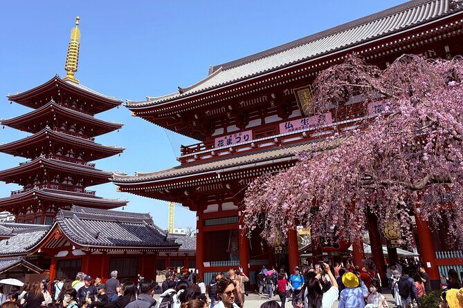 Tokyo Private Sightseeing Tour by Car with Local Guide - Why This Tour Offers Good Value