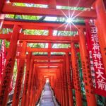 Tokyo: Private Spiritual Shrines Tour by Car with Guide - Why Choose a Private Tour in Tokyo?