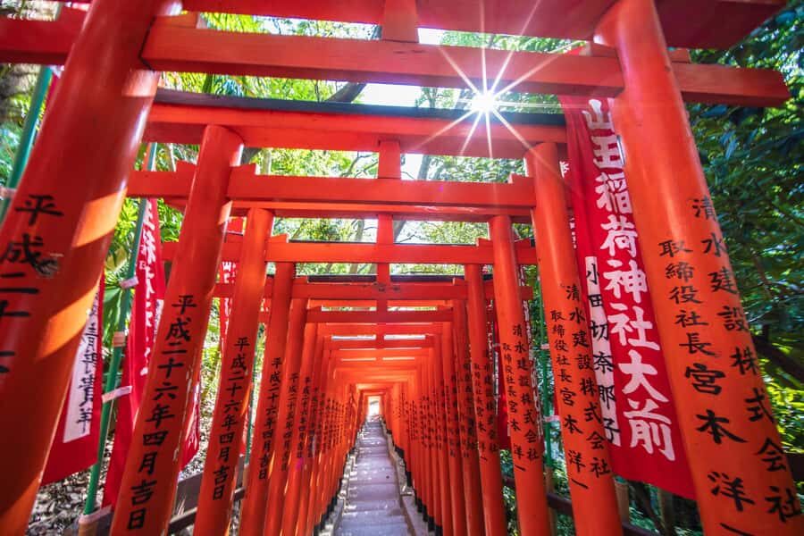 Tokyo: Private Spiritual Shrines Tour by Car with Guide - Why Choose a Private Tour in Tokyo?