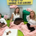 Tokyo Private Tour  A Warm and Personal Day - Practical Details and Value