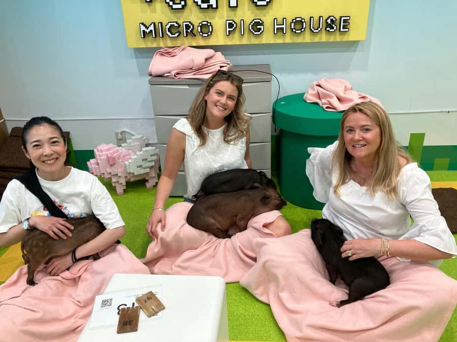 Tokyo Private Tour  A Warm and Personal Day - Practical Details and Value