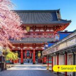 Tokyo Private Tour by Car with English-Speaking Driver (Premium) - The Practicalities: What You Need to Know