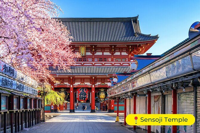 Tokyo Private Tour by Car with English-Speaking Driver (Premium) - The Practicalities: What You Need to Know