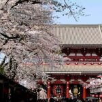 Tokyo Private Tour: Guide, Meals & Transfers Included - An Overview of the Experience