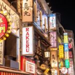 Tokyo: Private tour of Beckoning Cat Painting at Yanaka - Who Will Love This Tour?