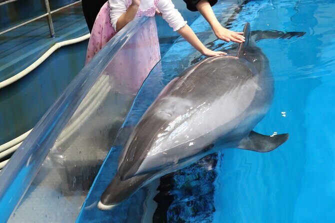 Tokyo Private Tour with a Kid~Friendly Guide - Why This Tour is Worth It