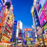 Tokyo Private Tour with English Speaking Driver - The Practical Aspects