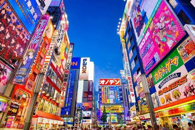 Tokyo Private Tour with English Speaking Driver - The Practical Aspects