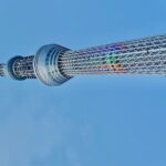 Tokyo private tour with English speaking driver - Authentic Insights from Reviews