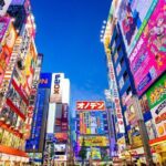 Tokyo Private Tour with English Speaking Driver Customizable - Why This Tour Is a Great Value