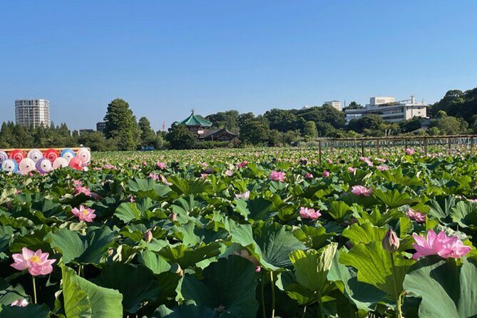 Tokyo: Private Ueno Highlights & Local Gem Walking Tour - The Sum Up