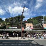 Tokyo Private Walking Tour Shibuya, Harajuku and Meiji Jingu - Who Will Love This Tour?