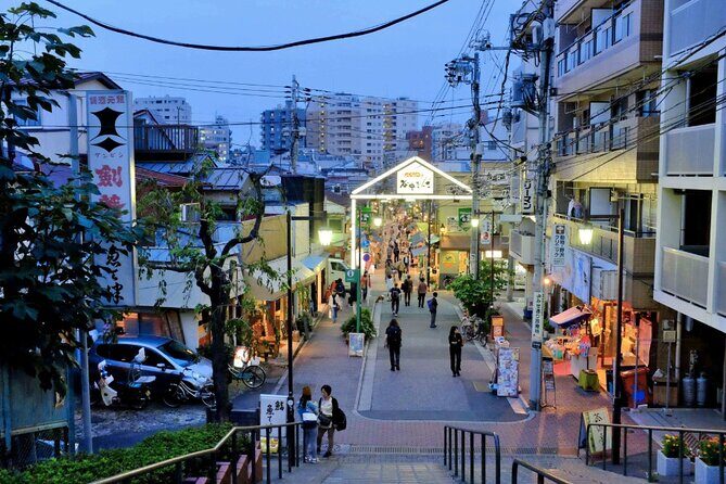Tokyo: Private Yanaka District Local Gem Walking Tour - Who Should Consider This Tour?